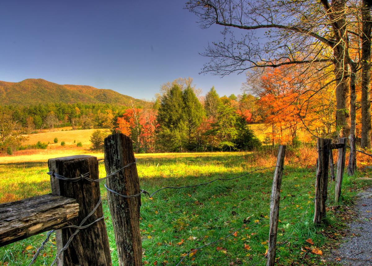 The scenery along the 11-mile loop road through Cades Cove, just a short drive from Gatlinburg and perhaps the most popular place to visit in Great Smoky Mountains National Park. (Fred J. Eckert)