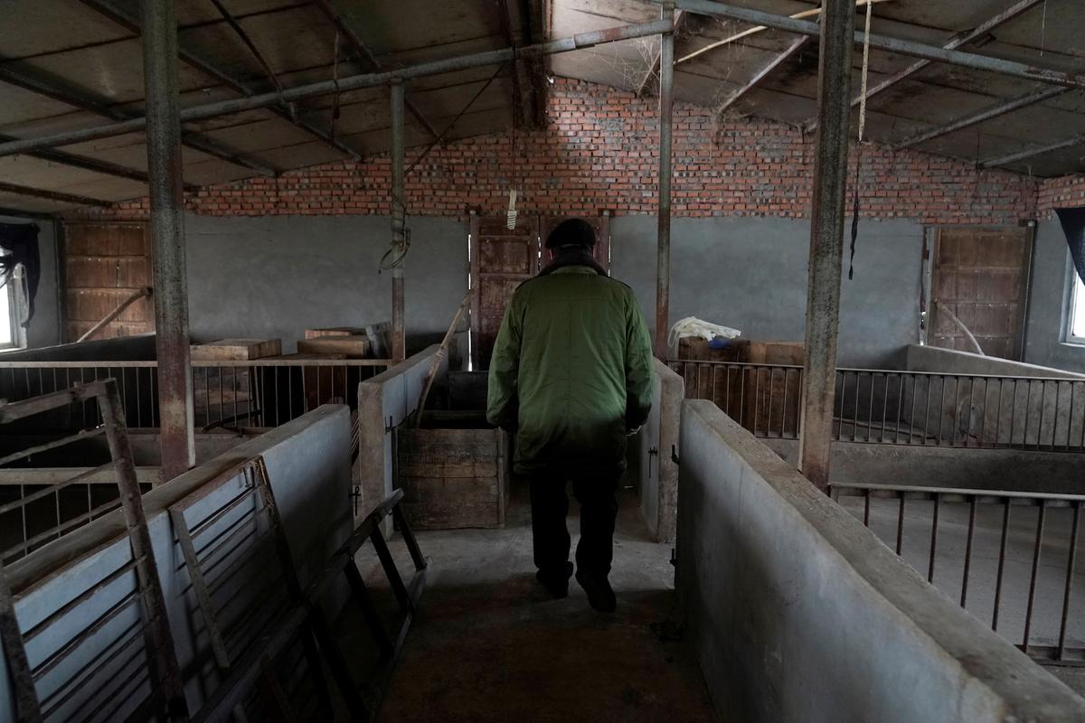 Farmer Zhao stands in his pigpen at a village in Henan Province, China, on Jan. 13, 2020. (Jason Lee/Reuters)