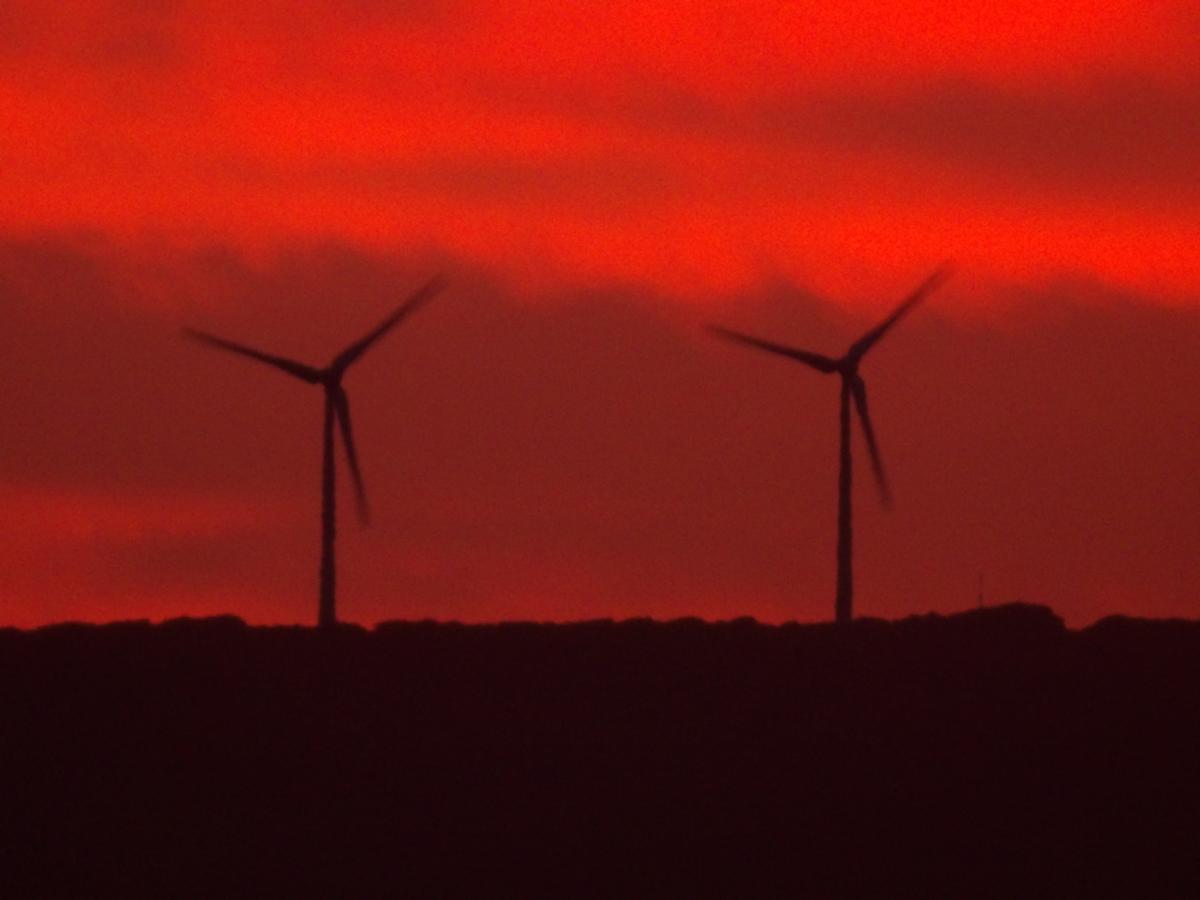 Queensland Introduces ‘Code of Conduct’ for Renewable Energy Social Licence