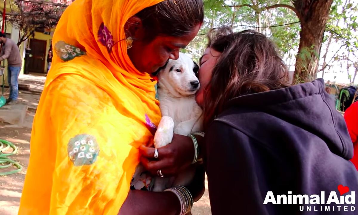 (Courtesy of Animal Aid Unlimited)