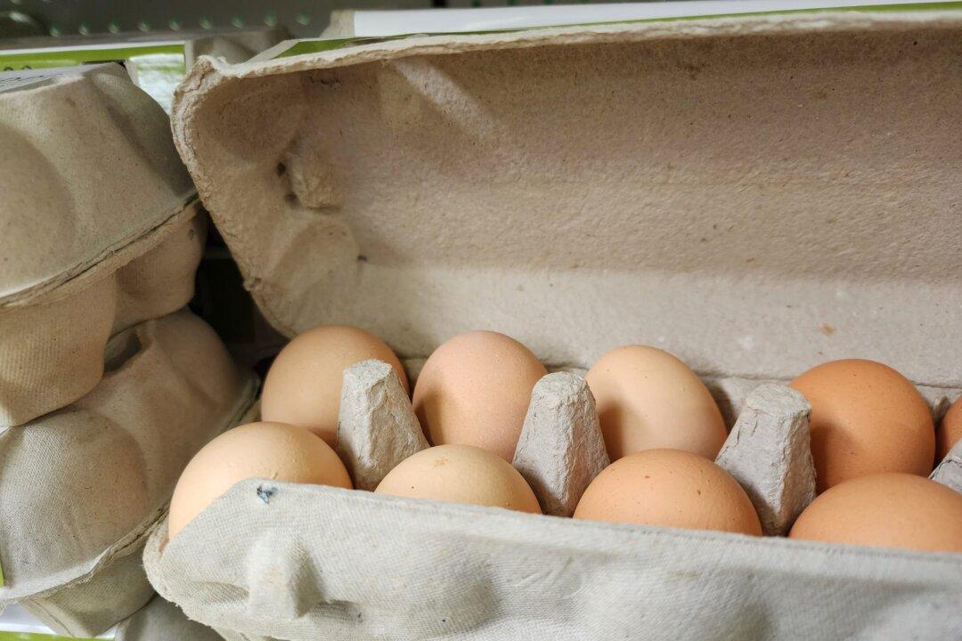Bird Flu Attracts $6.9 Million for Surveillance and Potential Vaccines