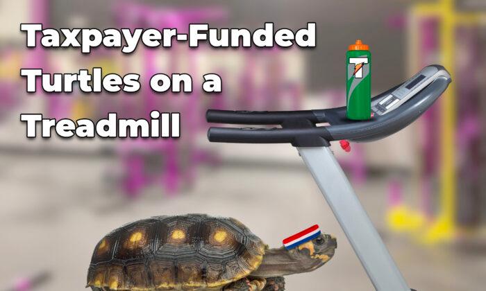 Ernst Blasts Feds’ Wasteful ‘Turtles on a Treadmill’ Study as Senate Panel OKs Her Anti-SWAG Bill 5:3