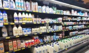 Australia’s Largest Dairy Processor Announces Factory Closure