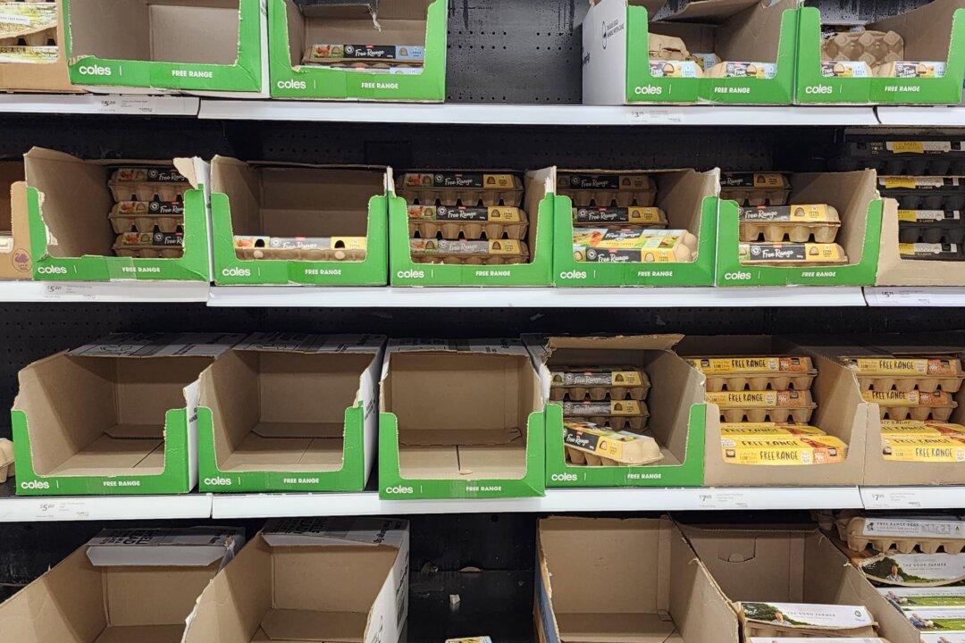 Australia Declares Victory Over Bird Flu