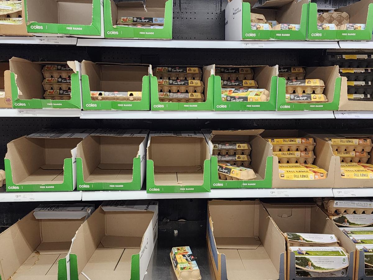 Australia Declares Victory Over Bird Flu