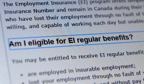 Service Canada documents displaying Employment Insurance options. (Sean Kilpatrick/The Canadian Press)