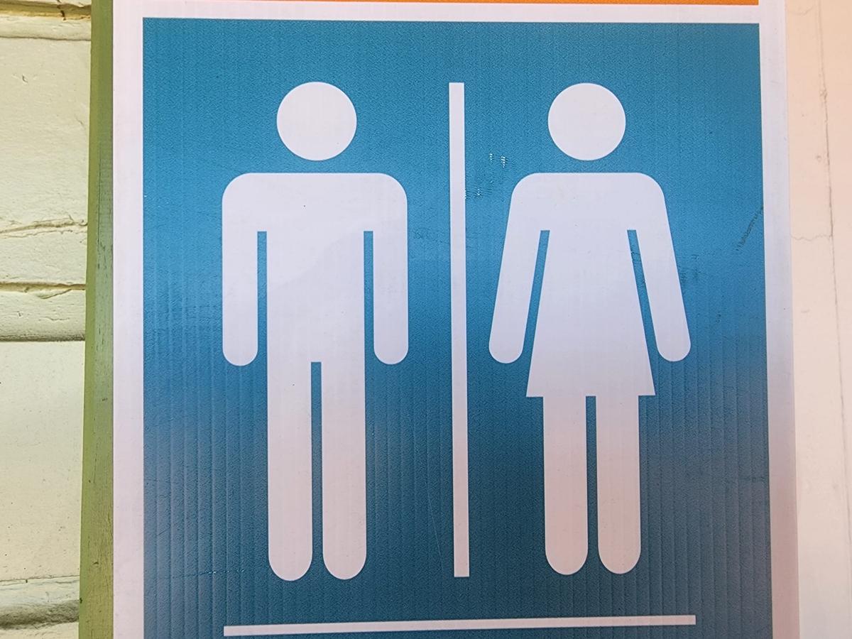 It’s Puzzling Why We’re Told Fraud in Transgenderism Is Never Possible