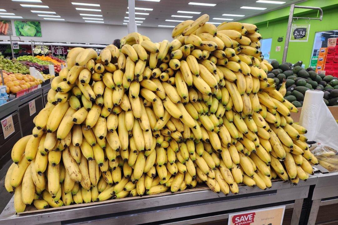 Banana Prices Could Spike as Floods Destroy 20 Percent of Crop