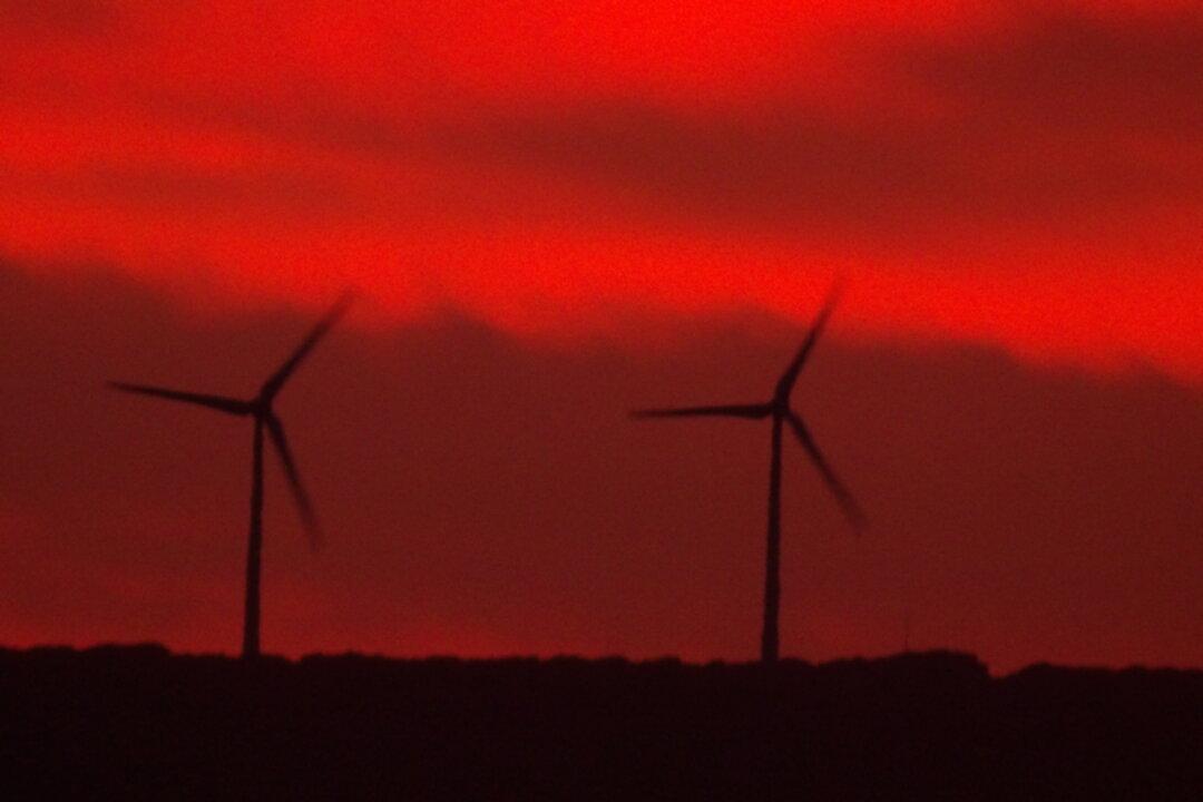 Struggling Australians ‘Getting Poorer’ Under Net Zero Policy: Barnaby Joyce