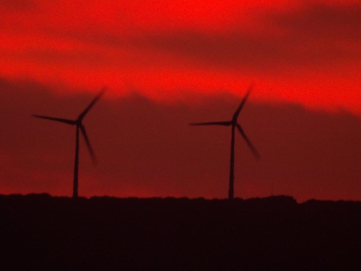 Struggling Australians ‘Getting Poorer’ Under Net Zero Policy: Barnaby Joyce