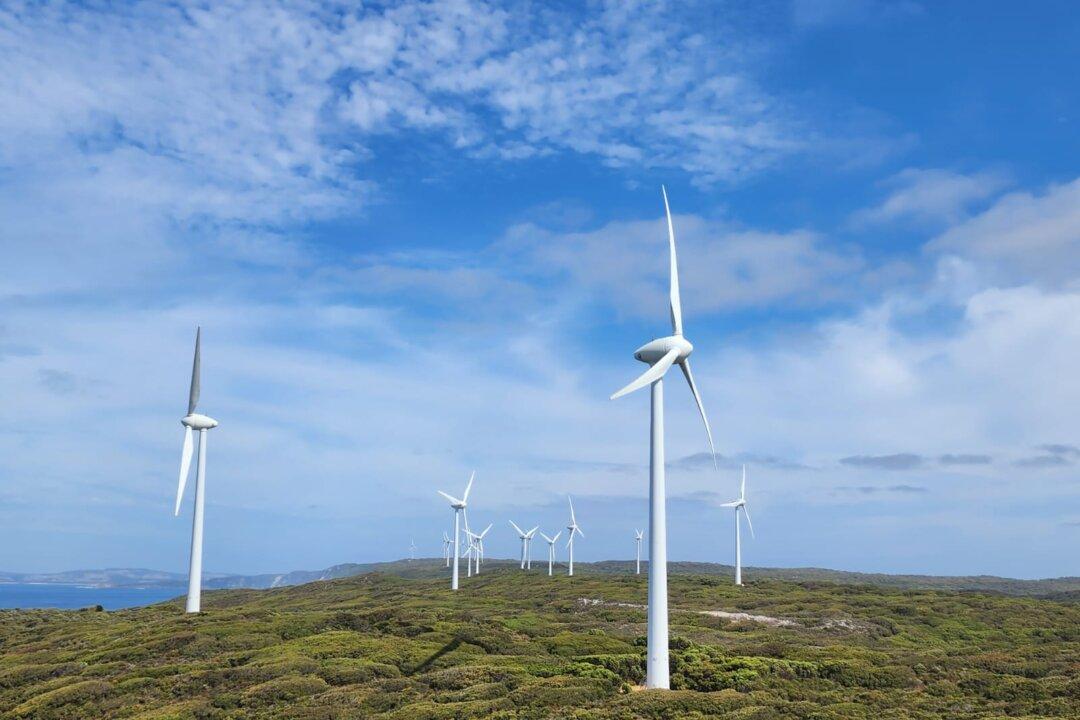 Climate Change Authority Calls for Campaign Against Misinformation, More Policy Interventions