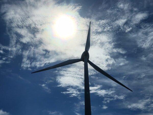 A wind turbine in Albany, Western Australia, on Feb. 18, 2024. (Susan Mortimer/The Epoch Times)
