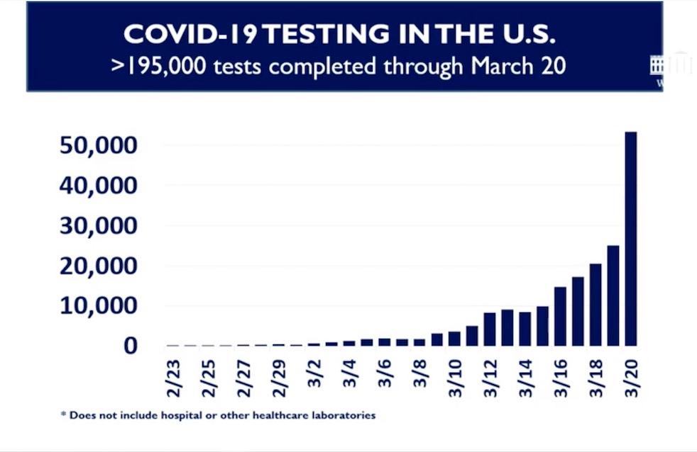 Chart showing COVID-19 testing in the United States, as presented at a White House briefing on March 21, 2020. (White House)