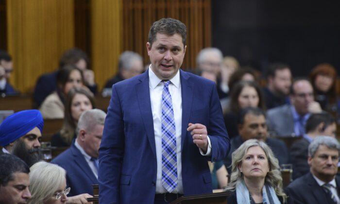 Opposition Must Take Different Approach in COVID-19 Fight, Says Scheer