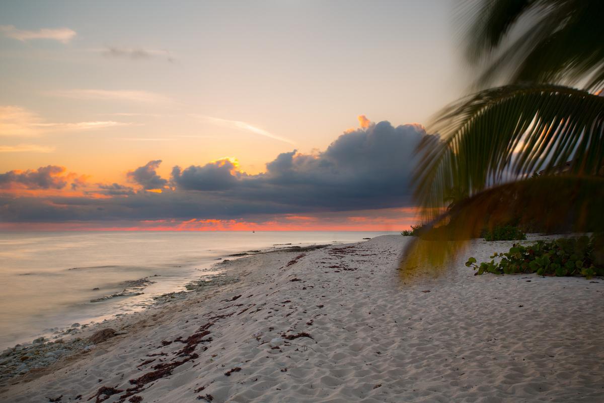 Sundown on the beach on Little Cayman. (Will Burrard-Lucas)