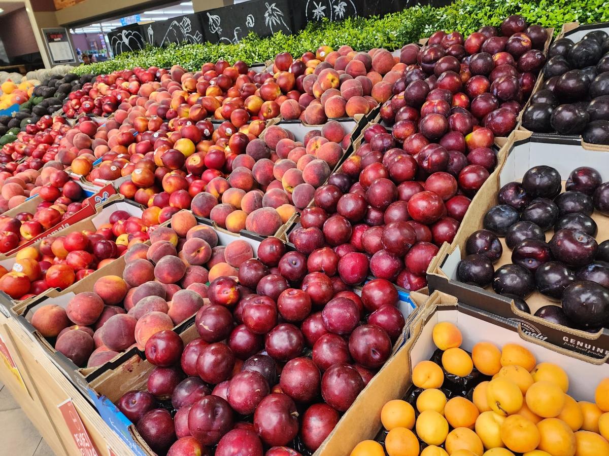 Vietnam Opens Door to Australian Plums After Trade Deal