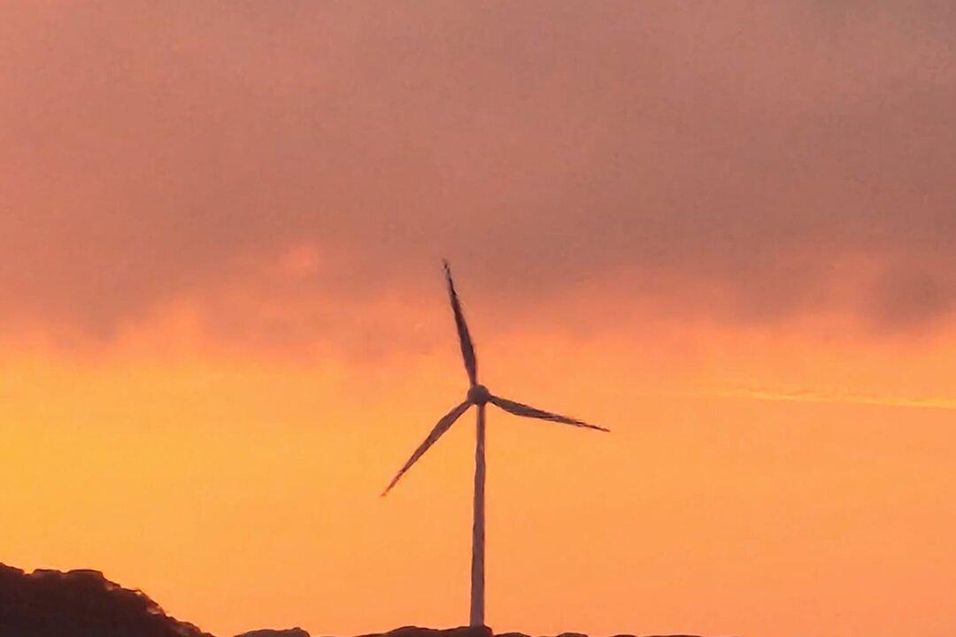 Teals MP Endorses ‘Carbon Pricing’ Amid Economists’ Call for Carbon Tax Levy