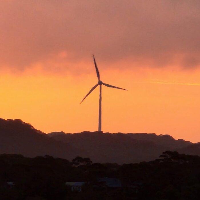 Teals MP Endorses ‘Carbon Pricing’ Amid Economists’ Call for Carbon Tax Levy