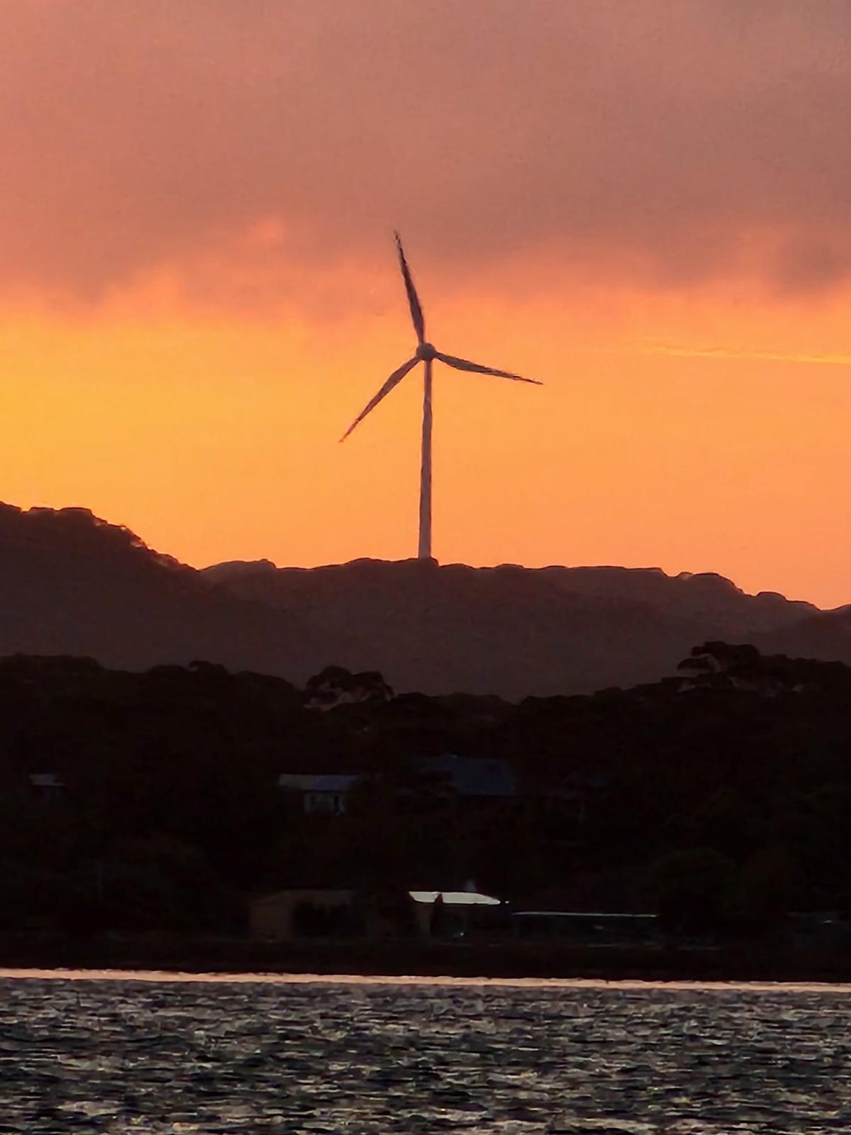 Teals MP Endorses ‘Carbon Pricing’ Amid Economists’ Call for Carbon Tax Levy