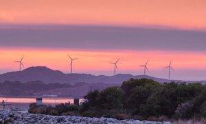 New Climate Reporting Laws Passed: Businesses Face New Disclosure Requirements