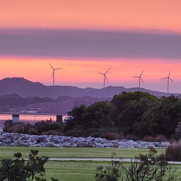 Teal MP Urges Albanese to Call Early Climate Change Election