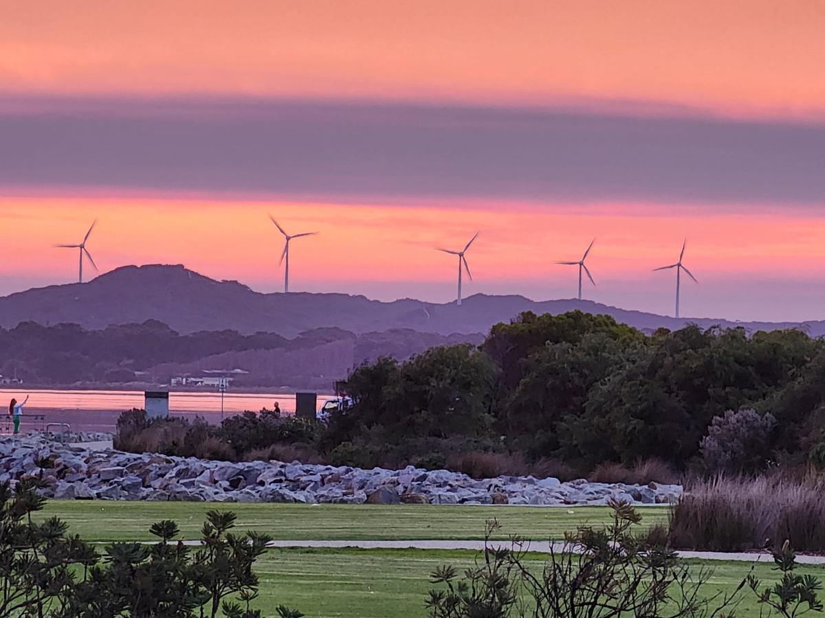 Net Zero Not as Important as Affordable Energy: Poll