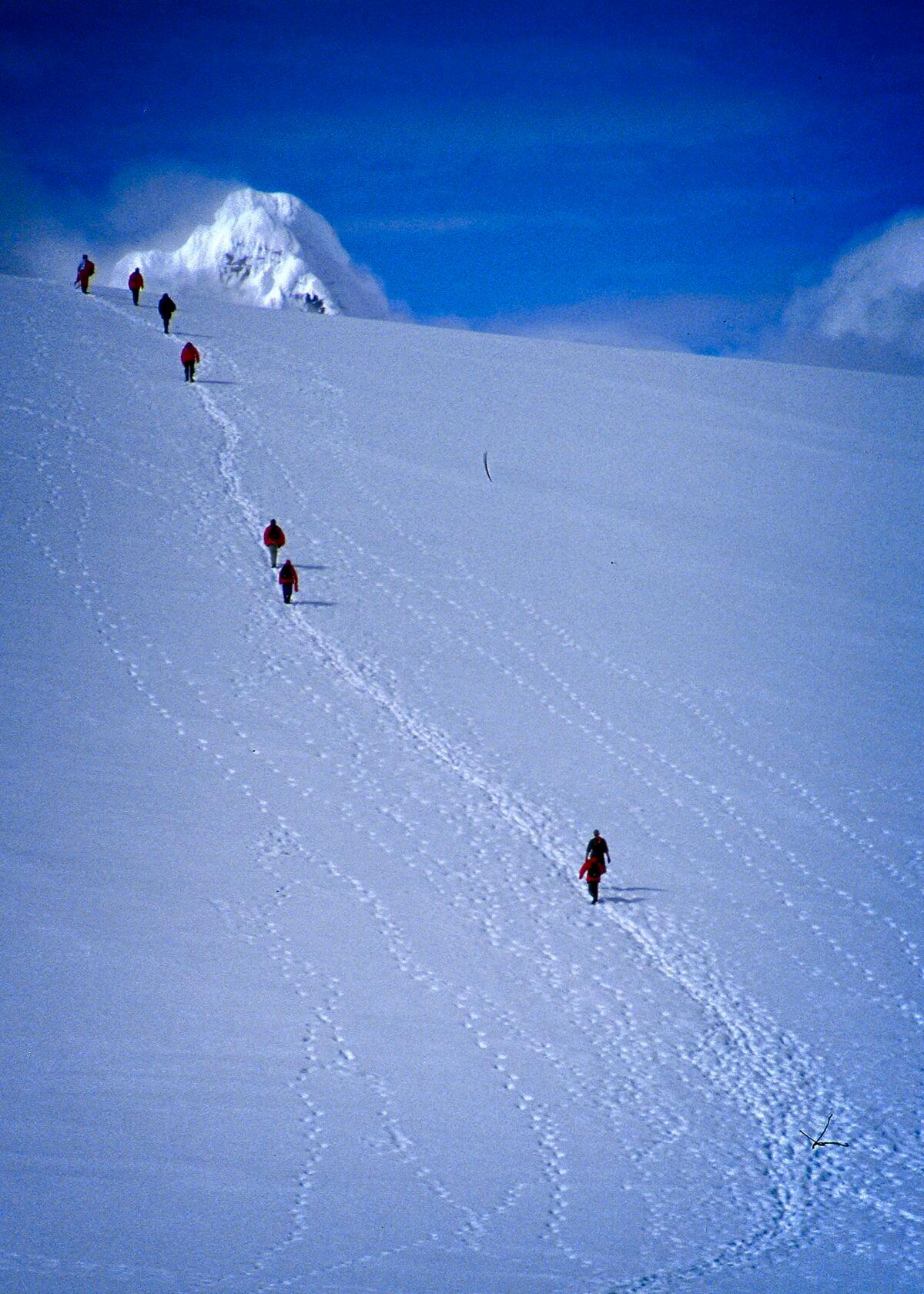 Tourists trek up a hill to catch a spectacular view of the vast Antarctic. (Copyright Fred J. Eckert)
