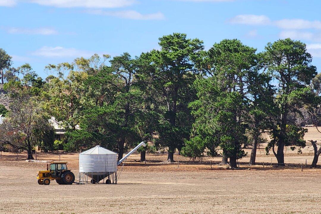 Australian Farmland Values Expected to Slow After Decade-Long Growth