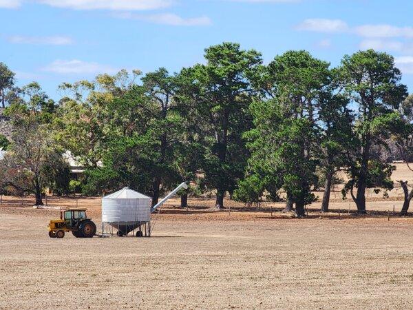 Australian Farmland Values Expected to Slow After Decade-Long Growth
