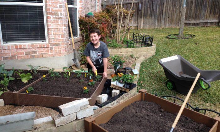 Austin Youth Builds Gardens to Feed the Hungry