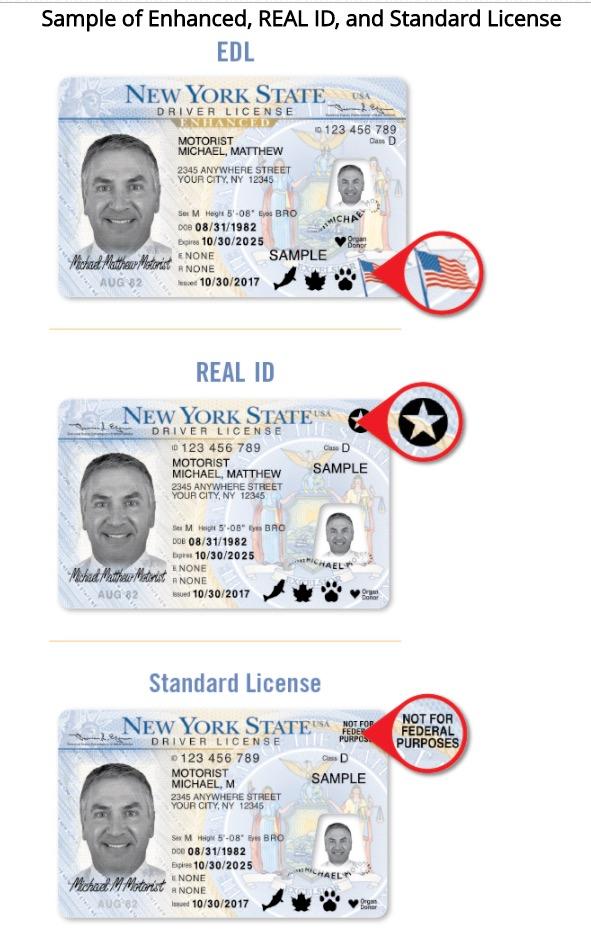Sample of Enhanced, Real ID, and Standard driver’s licenses in New York State. The star in the upper-right corner signals that it is a Real ID license. (New York State Department of Motor Vehicles)