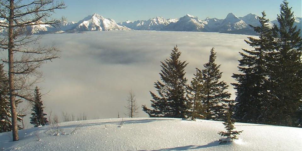 View of the Continental Divide from the Apgar Lookout Webcam in Glacier National Park. (NPS)
