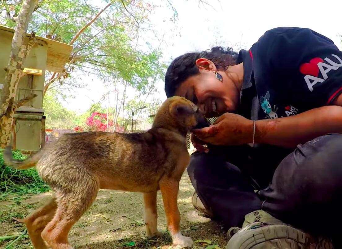 ©YouTube Screenshot | <a href="https://www.youtube.com/watch?v=p23dlV53Wy0">Animal Aid Unlimited, India</a>