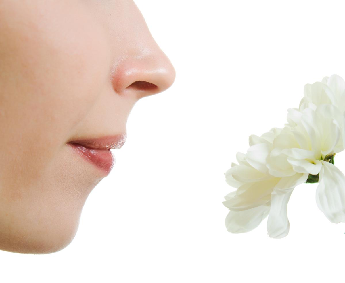 Illustration - Shutterstock | <a href="https://www.shutterstock.com/image-photo/girl-smelling-flower-on-white-background-105635558">Khamidulin Sergey</a>