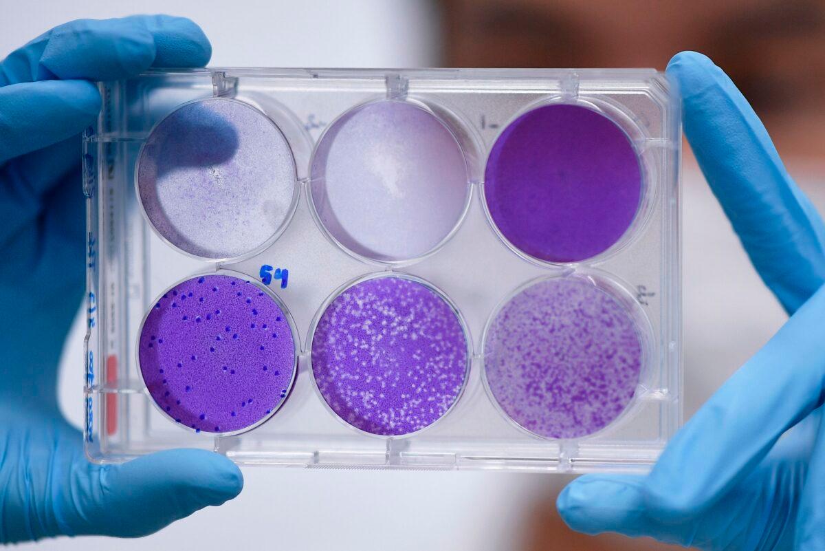A researcher works on virus replication in Belo Horizonte, Brazil, on March 26, 2020. (Douglas Magno/AFP/Getty Images)