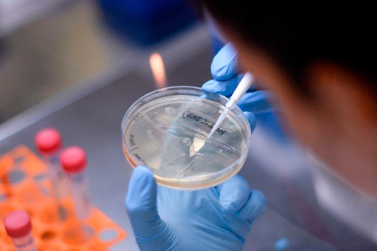 A researcher works on the development of a vaccine against COVID-19, in Belo Horizonte, Brazil, on March 26, 2020. (Douglas Magno/AFP/Getty Images)