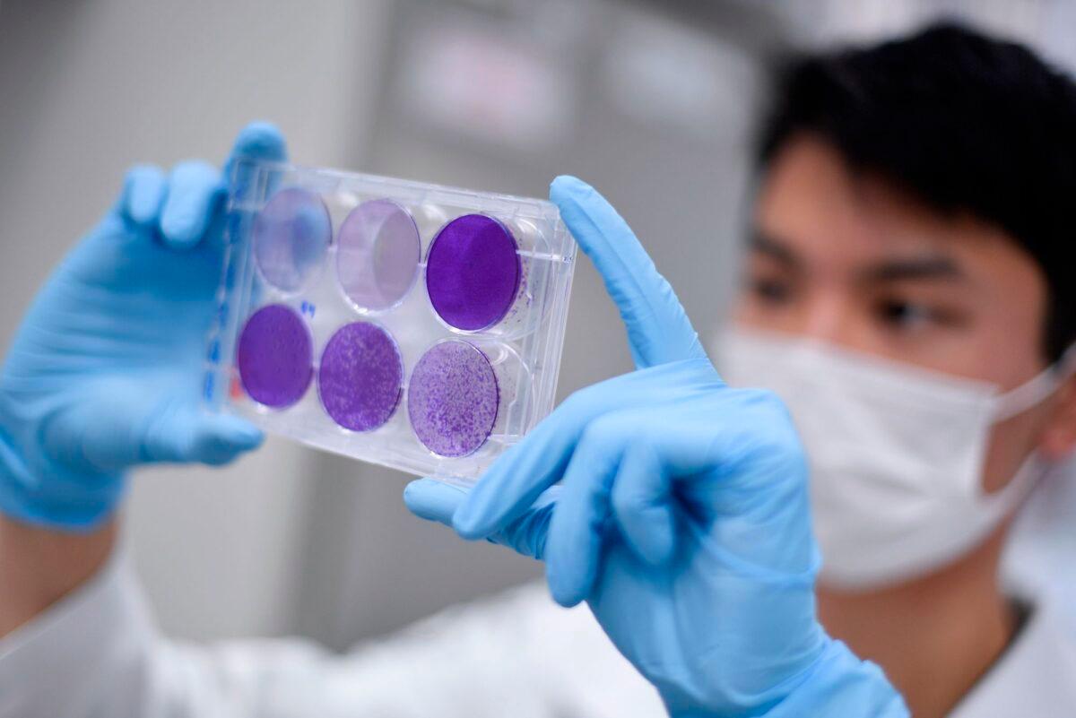 A researcher works on virus replication in order to develop a vaccine against COVID-19, in Belo Horizonte, Brazil, on March 26, 2020. (Douglas Magno/AFP/Getty Images)