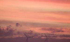 Australian Government Establishes Net Zero Authority