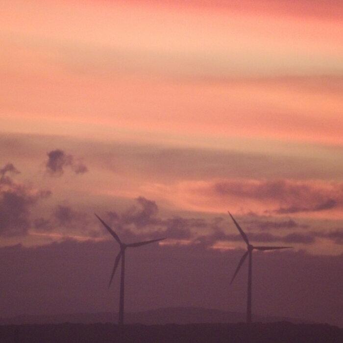 Australian Government Establishes Net Zero Authority