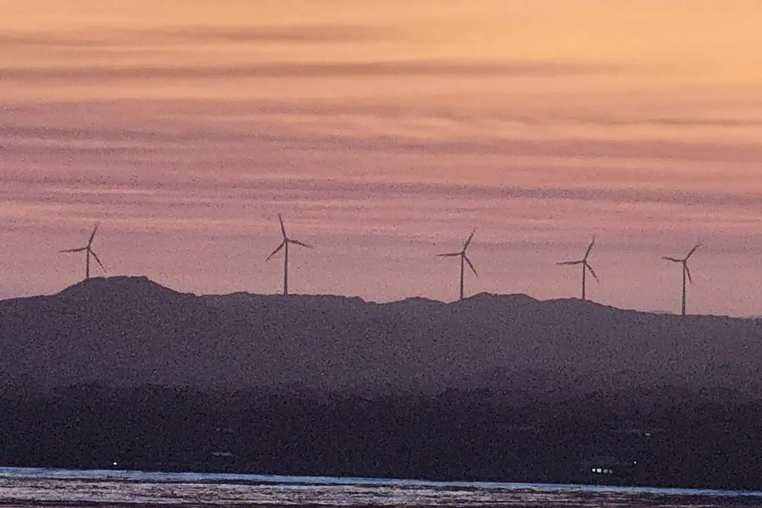 Teal MP’s Push for Mandatory Climate Health Reporting via Australian CDC Rejected