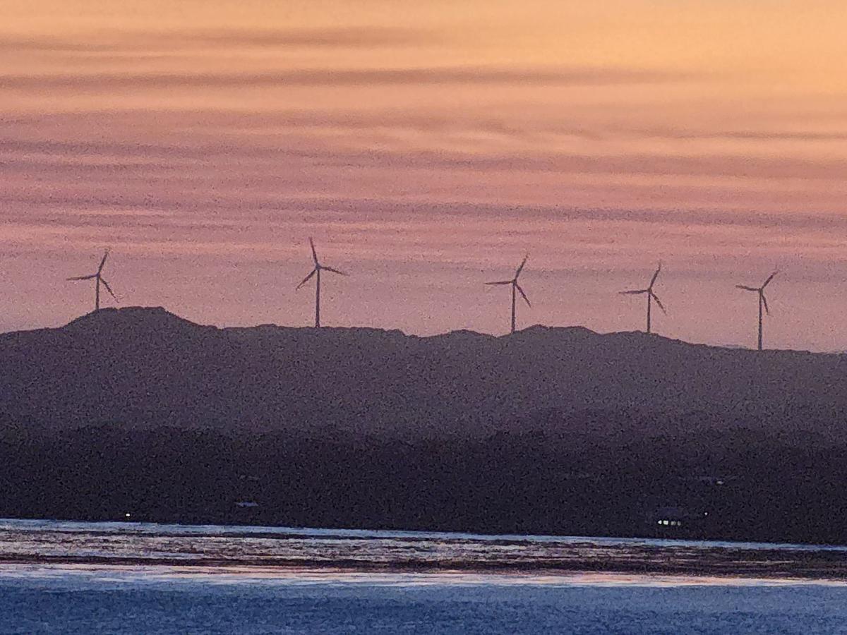 Teal MP’s Push for Mandatory Climate Health Reporting via Australian CDC Rejected