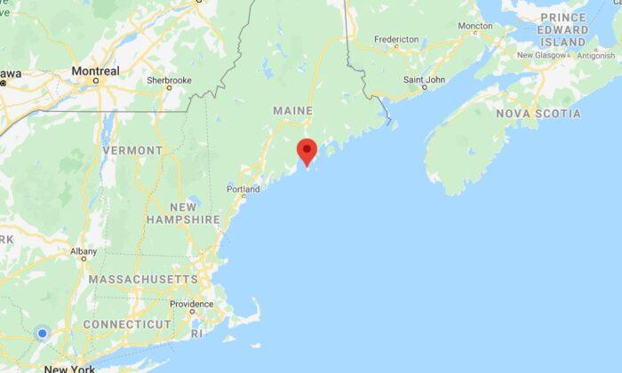 Armed Group Chops Down Tree in Maine, Blocks Driveway to Force Neighbor to Self-Quarantine