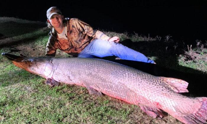 18-Year-Old Texas Fisherman Reels In Enormous Alligator Gar, Over 7 ft Long and 190 lbs