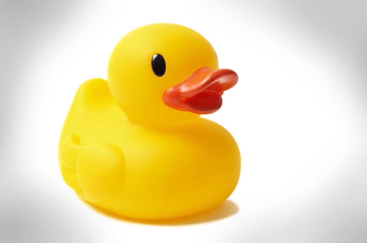 Illustration - Shutterstock | <a href="https://www.shutterstock.com/image-photo/yellow-rubber-duck-isolated-on-white-607006361">ajt</a>
