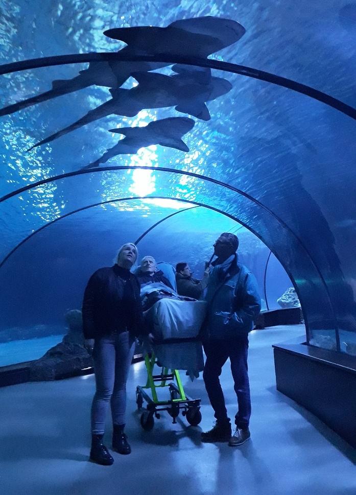 A man gets to see the sharks on his last trip to the Rotterdam Zoo (Photo courtesy of <a href="https://www.facebook.com/StichtingAmbulancewens/photos/a.547790041916906/3169529339742950/?type=3&theater">Stichting Ambulance Wens Nederland</a>)