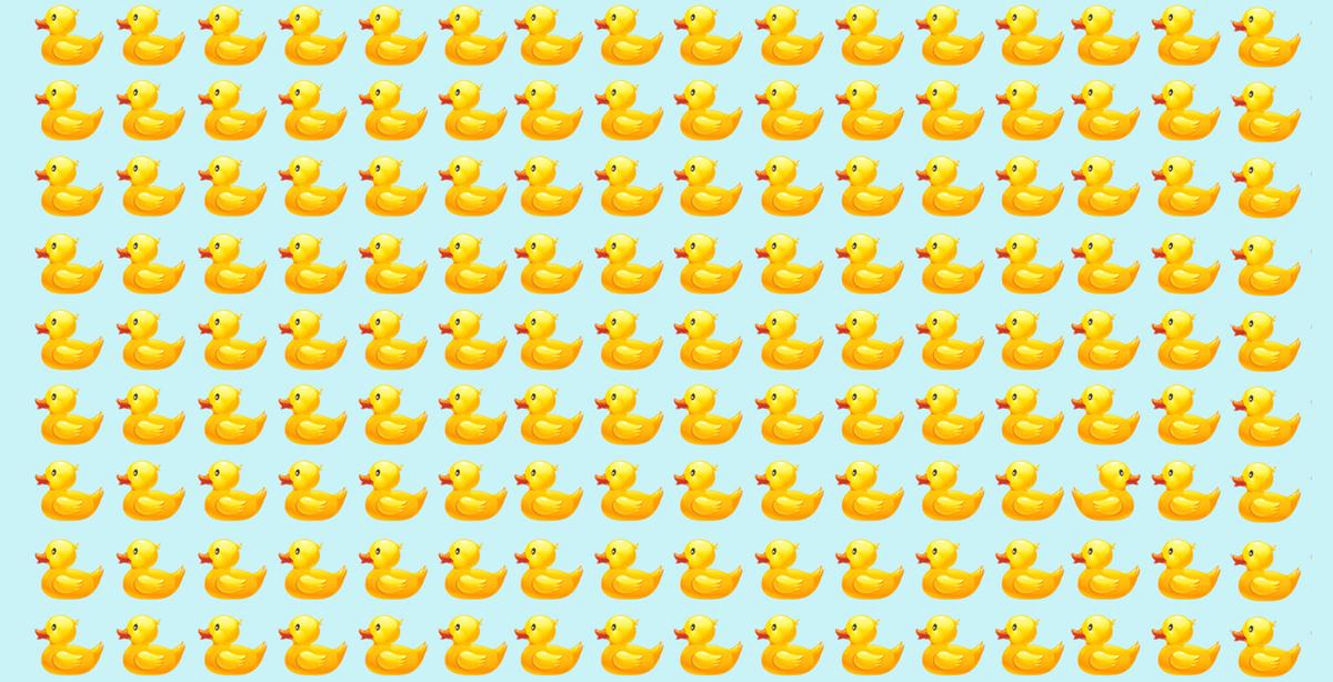 Can You Find the ‘Odd Duck’ in Less Than 20 Seconds? If So, It Could Mean You Have a High IQ