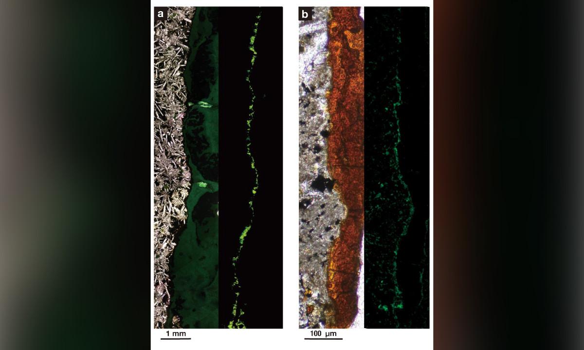 Life Found in Rocks Beneath the Ocean Floor Give Scientists Hope of Finding Life on Mars