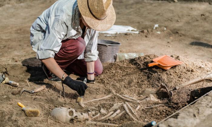 Scientists Discovered the Oldest Human Plague From 5,000-Year-Old Remains of a Woman
