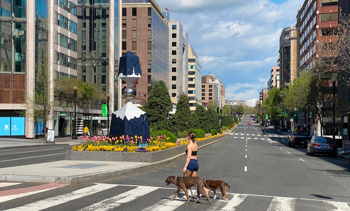 A woman walks her dogs across a nearly empty Connecticut Avenue in Washington on April 9, 2020. (Daniel Slim/AFP via Getty Images)