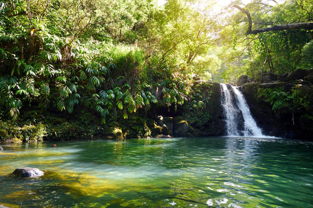 Lower Waikamoi Falls, along the road to Hana in Maui, Hawaii. (MNStudio/Shutterstock)